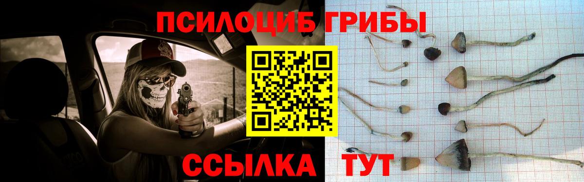 Псилоцибиновые грибы Magic Shrooms  Псилоцибиновые грибы прущие грибы  Югорск  Вход с VPN 